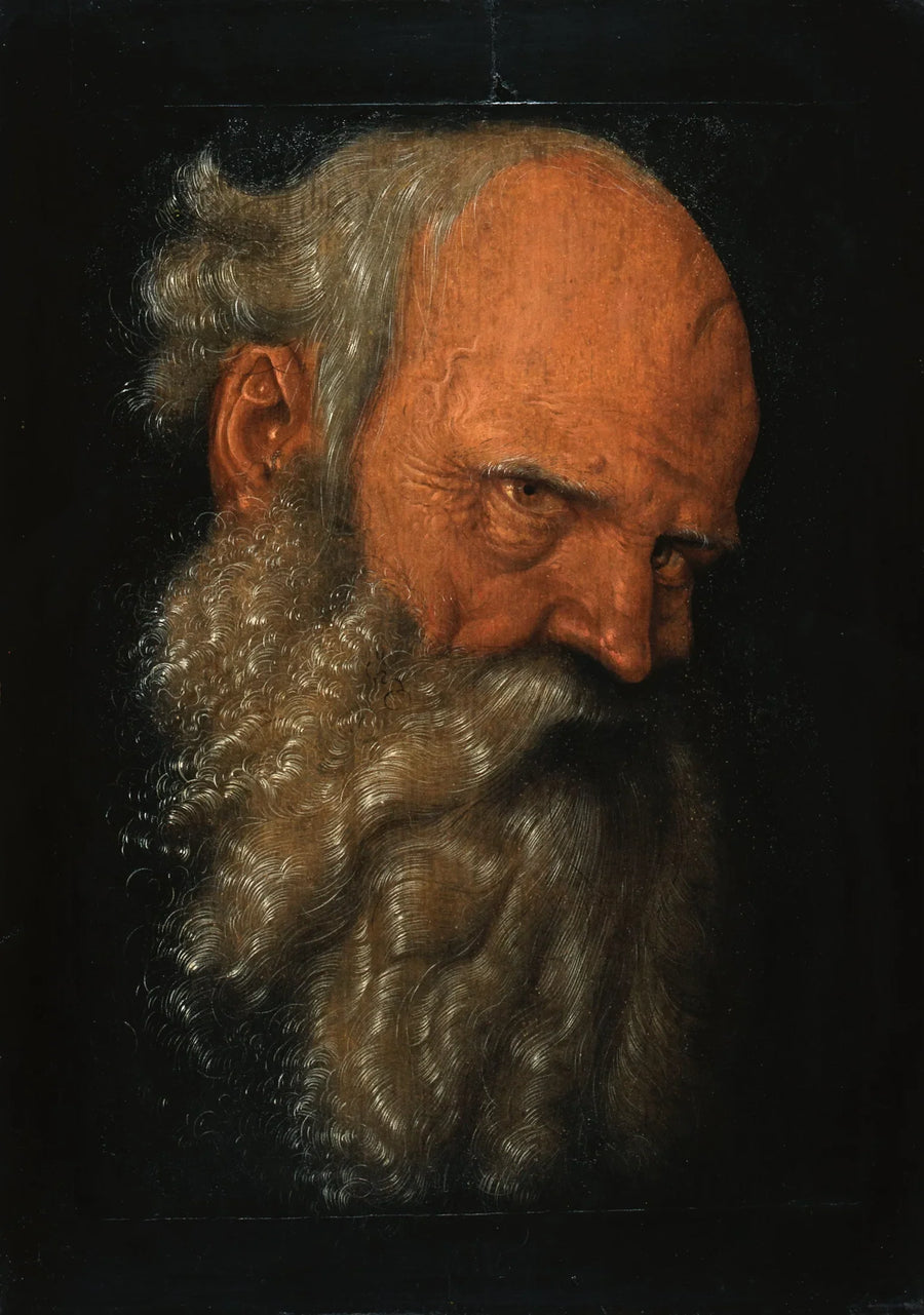 Testa di un vecchio uomo barbuto - Hans Baldung Grien
