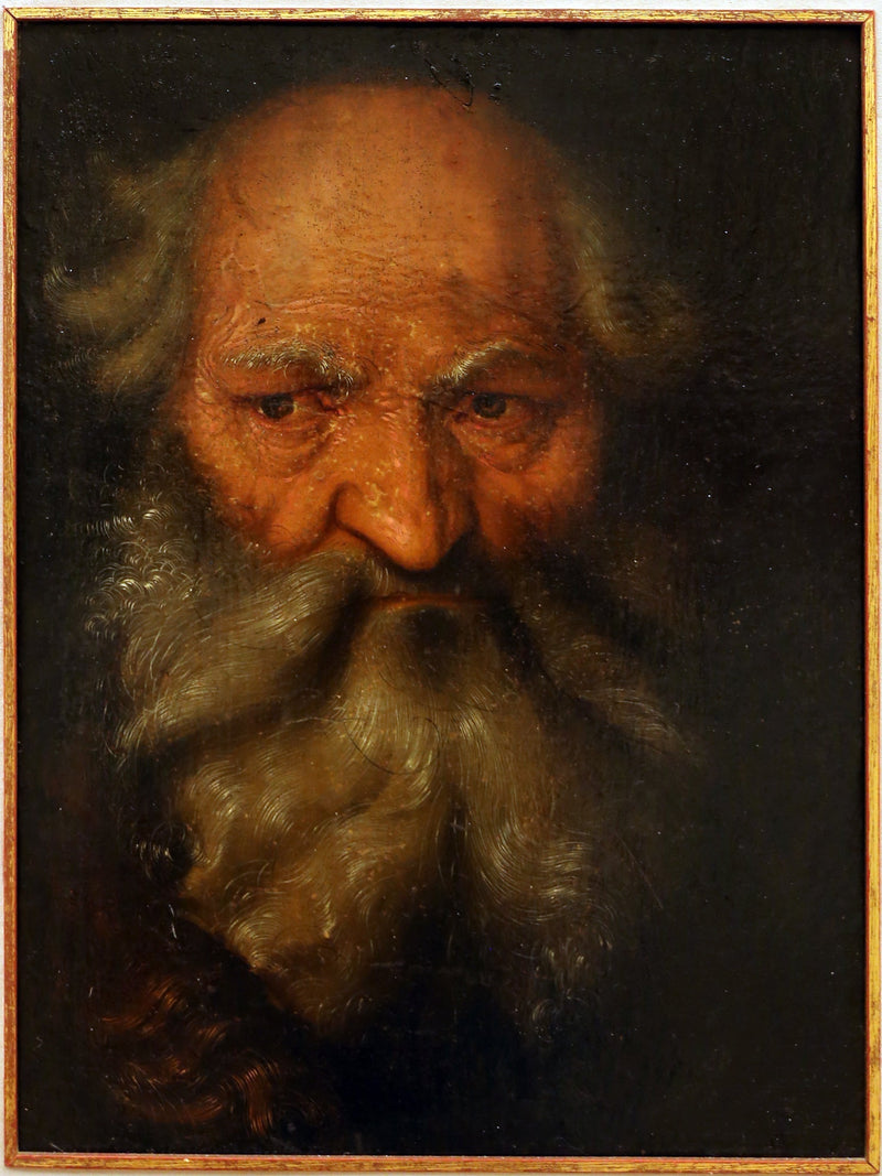 Testa di un uomo anziano - Hans Baldung Grien