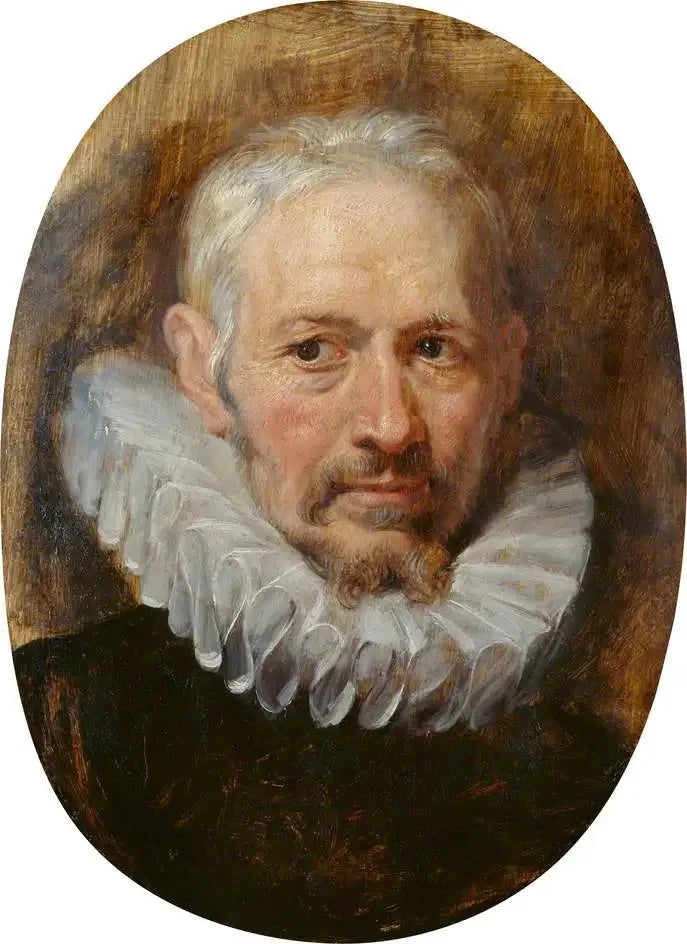 Testa di un uomo anziano - Peter Paul Rubens