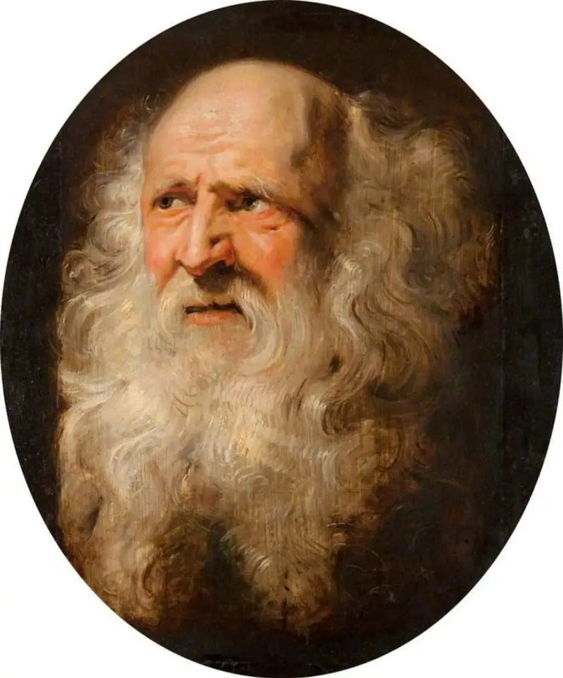 Testa di un vecchio uomo - Peter Paul Rubens