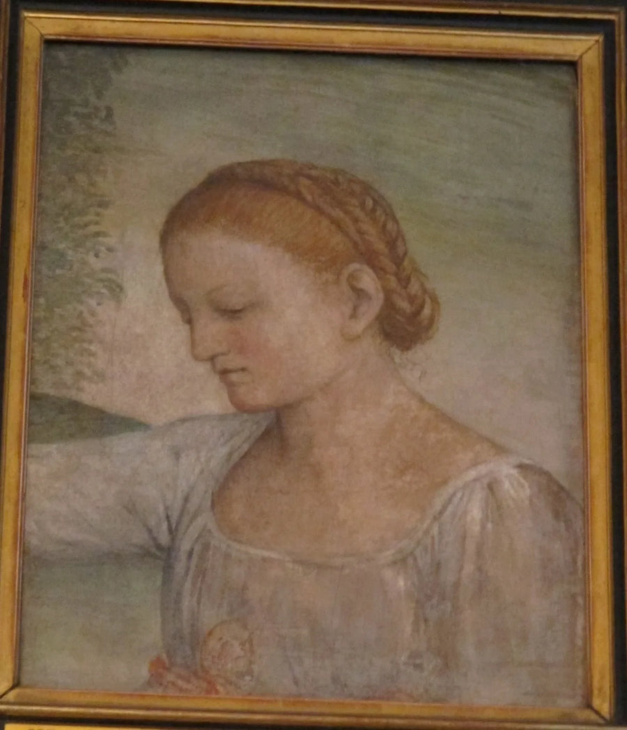 Testa di una ragazza - Bernardino Luini