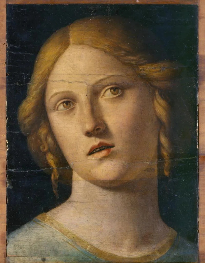 Testa di una santa