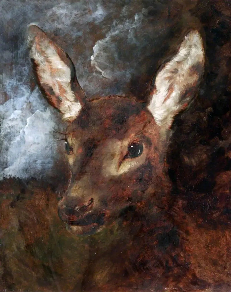 Testa di cervo - Edwin Henry Landseer