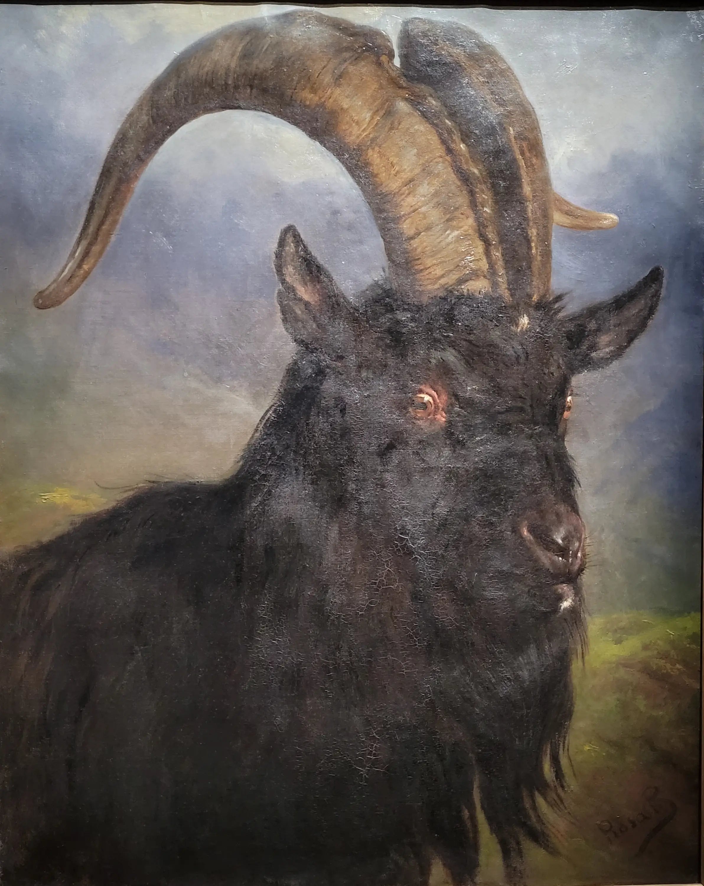 Tête de bouc - Rosa Bonheur - Alpha Reproduction