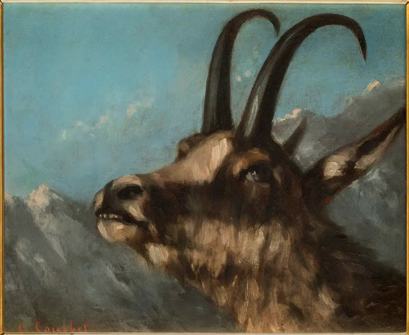 Testa di stambecco - Gustave Courbet