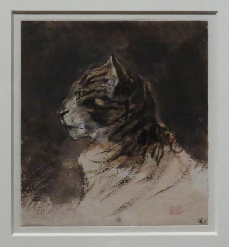 Testa di gatto - Eugène Delacroix