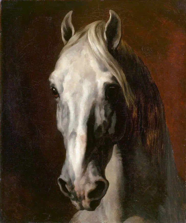 Testa di cavallo bianco - Théodore Géricault