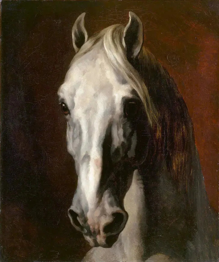 Testa di cavallo bianco - Théodore Géricault