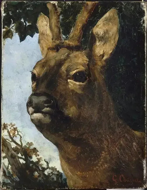 Testa di capriolo - Gustave Courbet