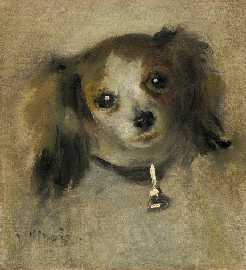 Testa di cane - Pierre-Auguste Renoir