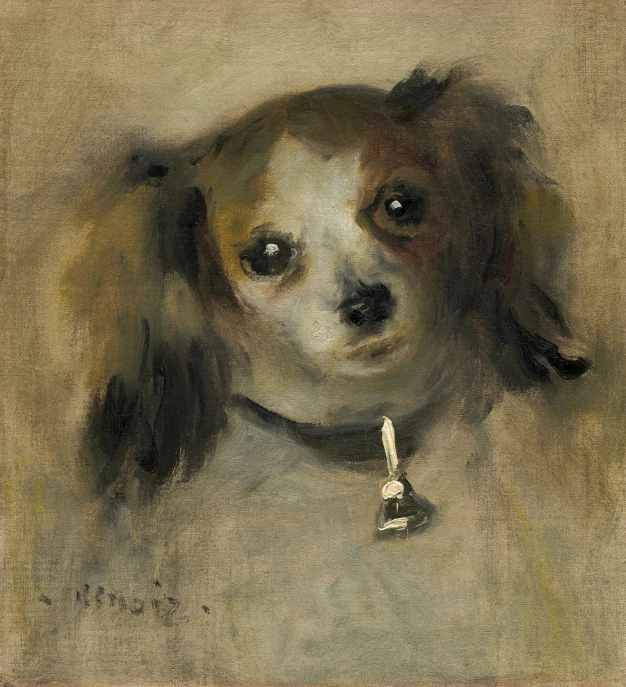 Testa di cane - Pierre-Auguste Renoir