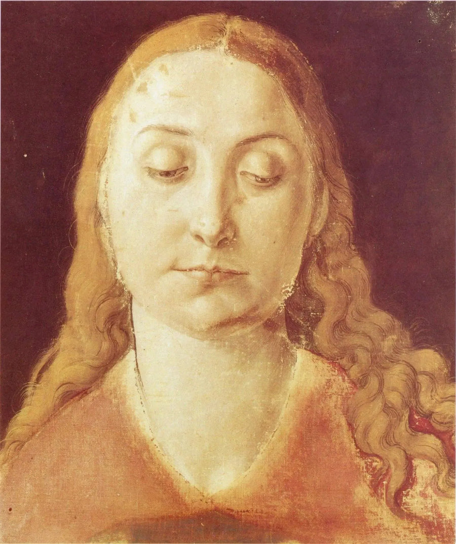 Testa di donna - Albrecht Dürer