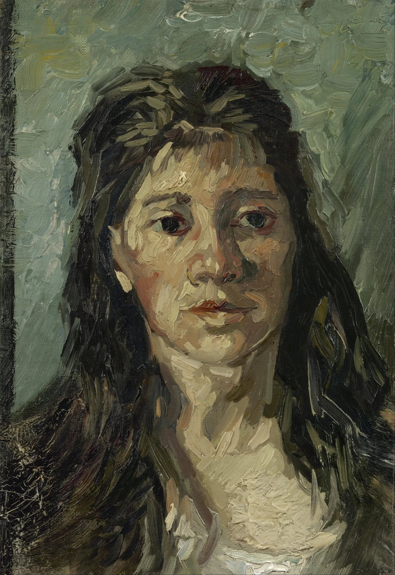 Testa di donna - Vincent van Gogh