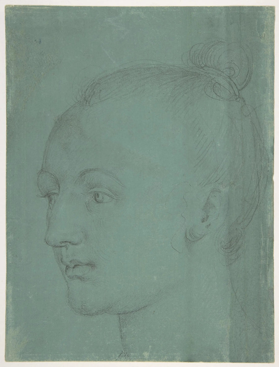 Testa di giovane donna - Albrecht Dürer
