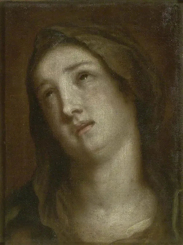 Testa della Vergine in lutto - Antoine van Dyck