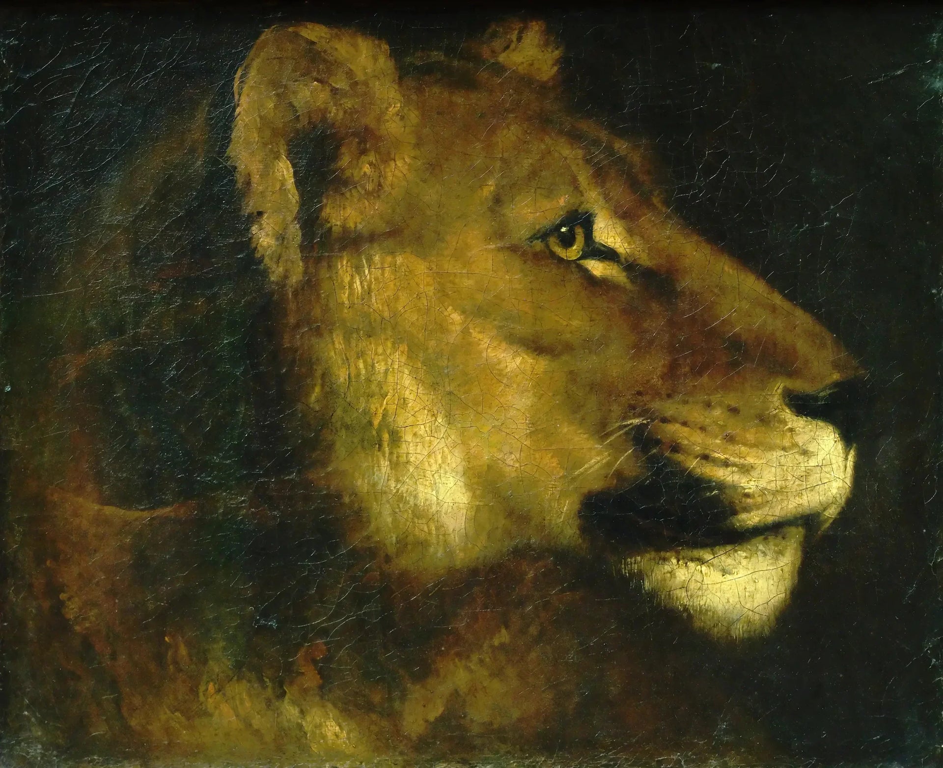 Tête de lionne - Théodore Géricault image 1 copie peinte à la main à l’huile