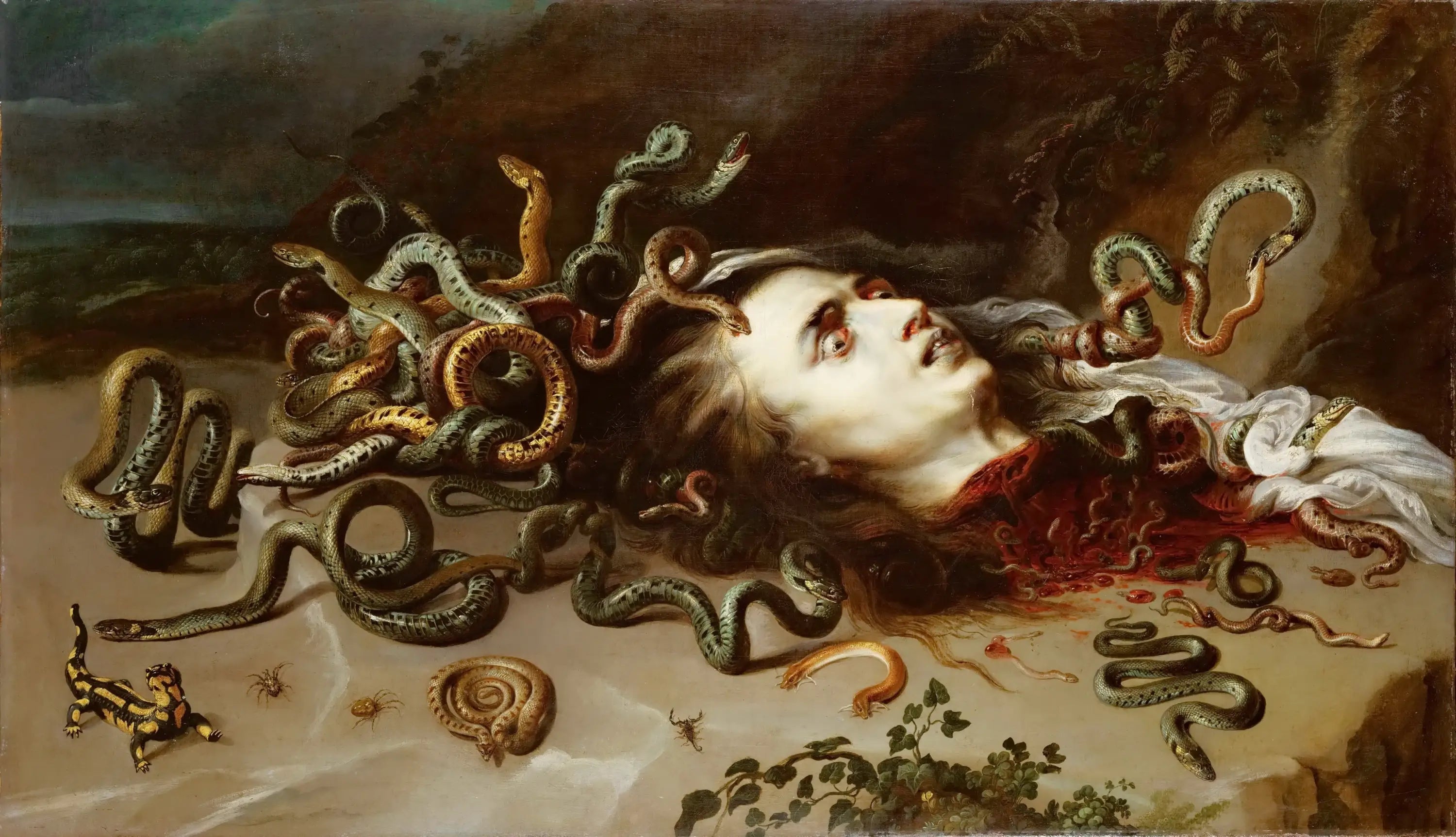 Tête de Méduse - Peter Paul Rubens - Alpha Reproduction
