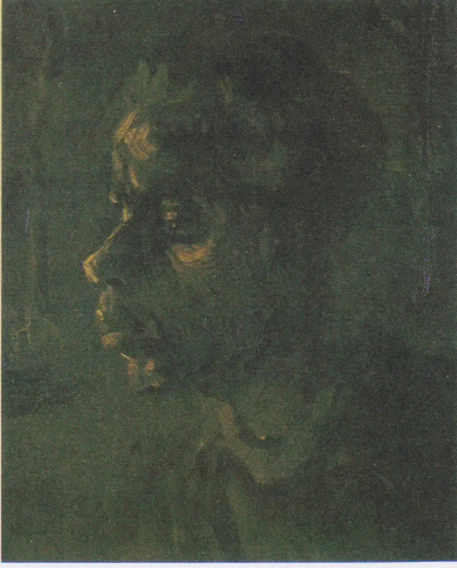 Testa di contadina - Vincent van Gogh