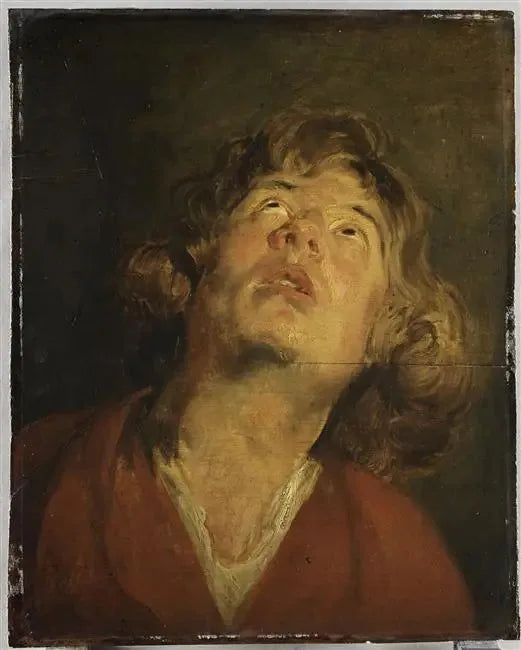 Testa di san Giorgio - Antoine van Dyck