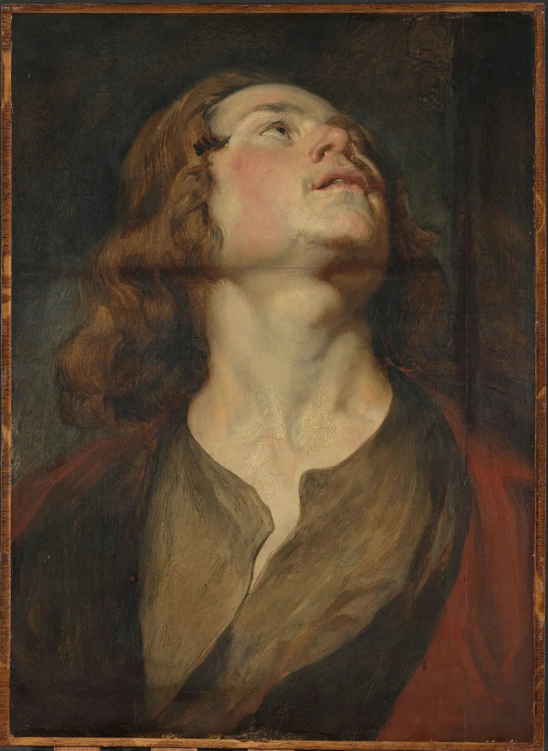 Testa di San Giovanni - Antoine van Dyck