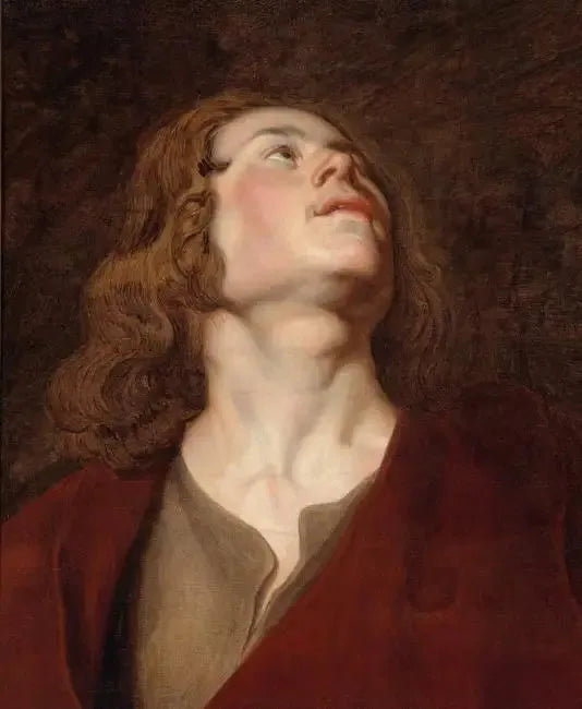 Testa di San Giovanni - Peter Paul Rubens