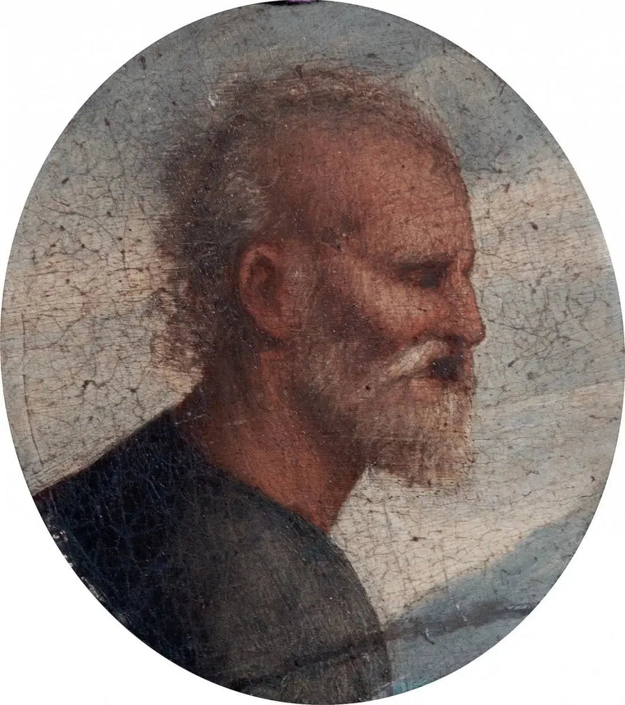 Testa di San Pietro - Raffaello Sanzio