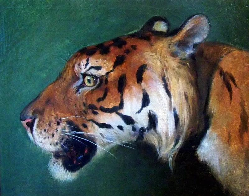 Testa di tigre - Eugène Delacroix