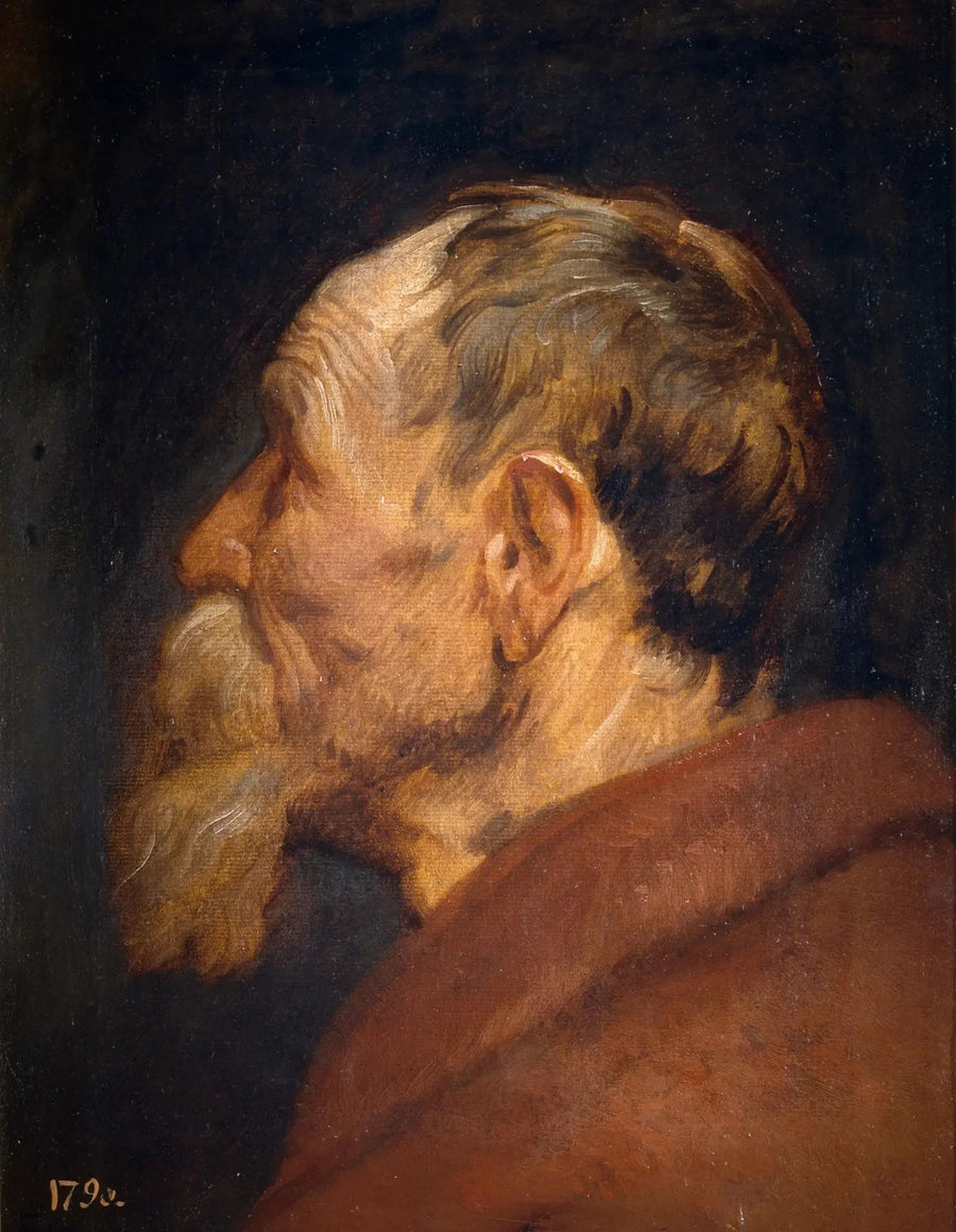 Testa di anziano - Antoine van Dyck