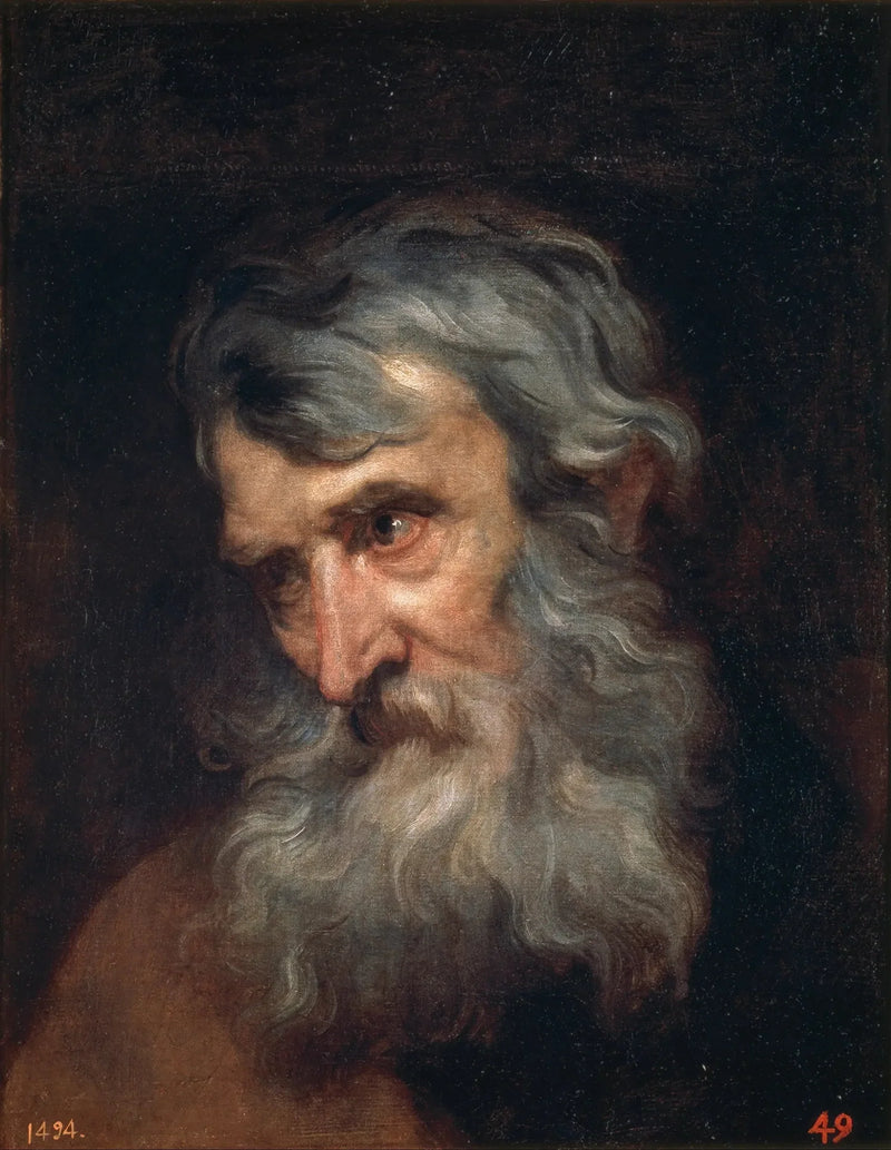 Testa di uomo anziano - Antoine van Dyck