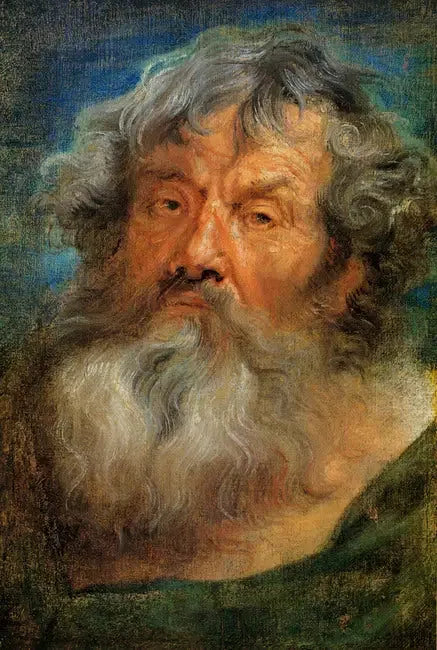 Testa di anziano - Antoine van Dyck