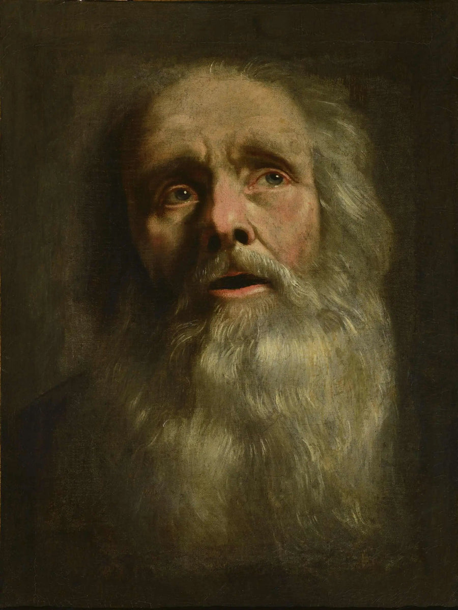 Testa di anziano - Philippe de Champaigne