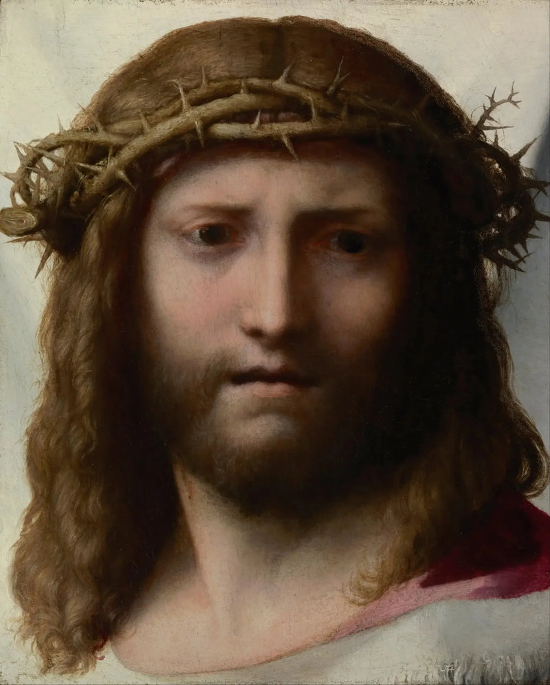Testa di Cristo - Antonio da Correggio