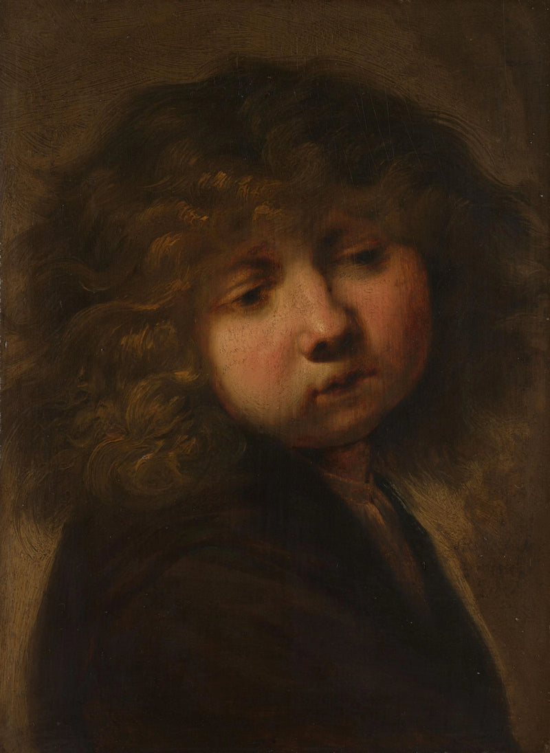 Testa di un ragazzo - Rembrandt