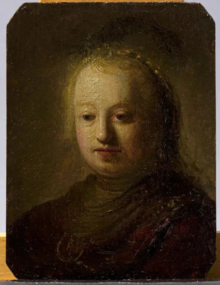 Busto di una ragazza - Rembrandt