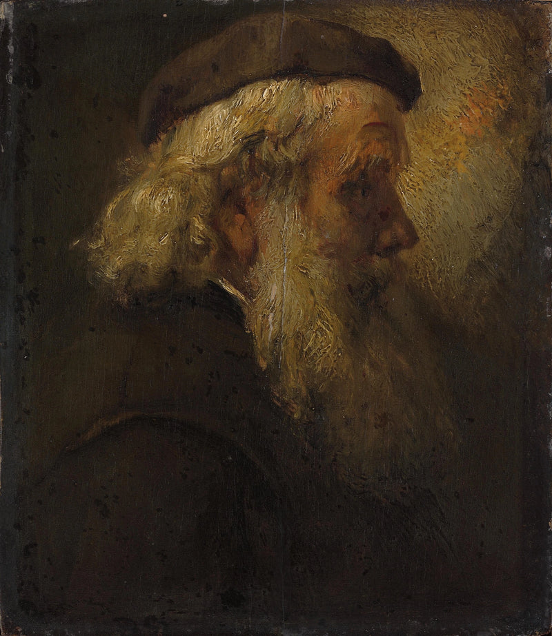 Testa di un vecchio uomo barbuto - Rembrandt