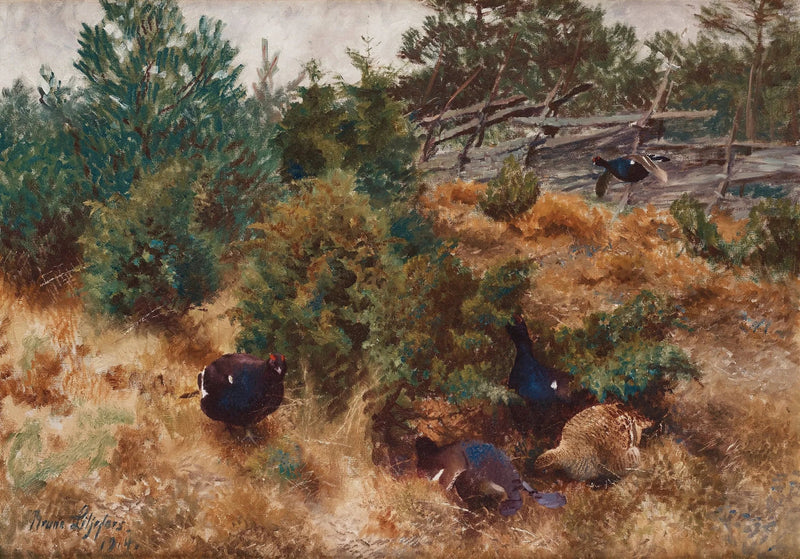 Fagiano di monte in un paesaggio autunnale - Bruno Liljefors