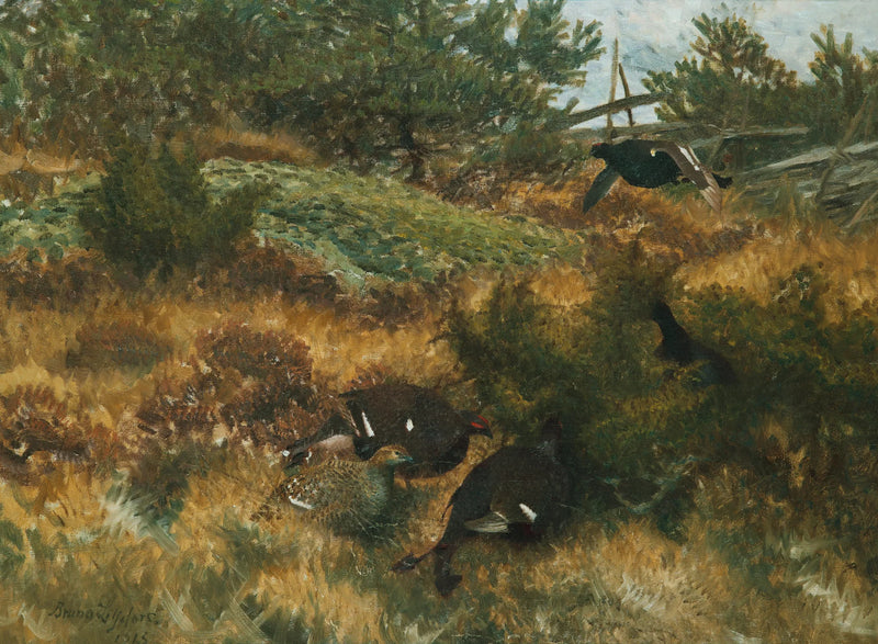 Fagiano di monte in un paesaggio autunnale - Bruno Liljefors