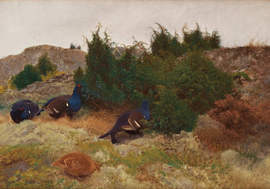 Gallo forcello in autunno - Bruno Liljefors