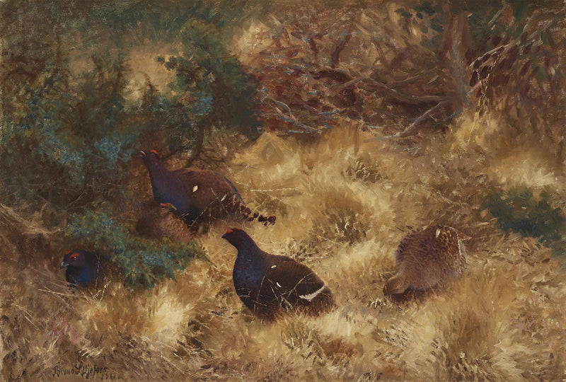 Gallo forcello in autunno - Bruno Liljefors