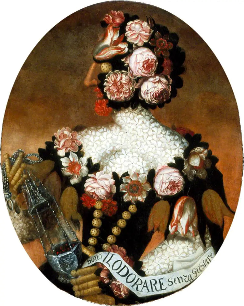 La percezione dell'olfatto - Giuseppe Arcimboldo