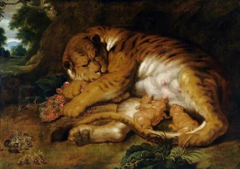 Tigre con i suoi cuccioli - Peter Paul Rubens