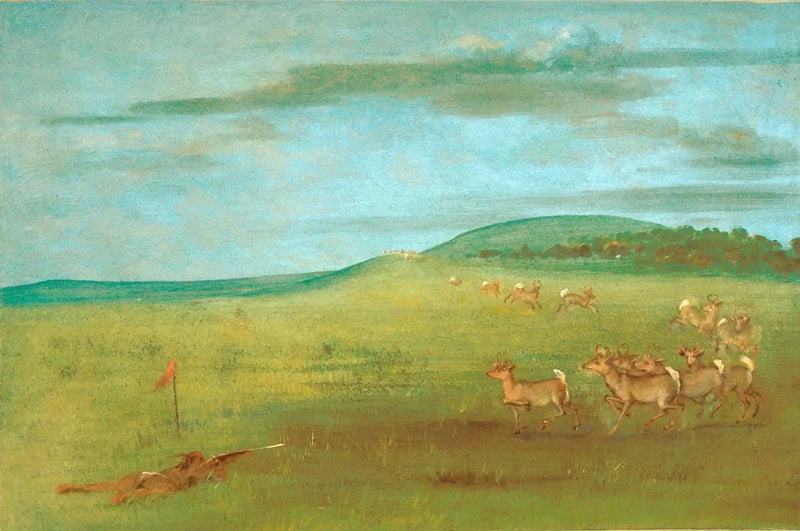 Tiro su un'antilope attirata - George Catlin