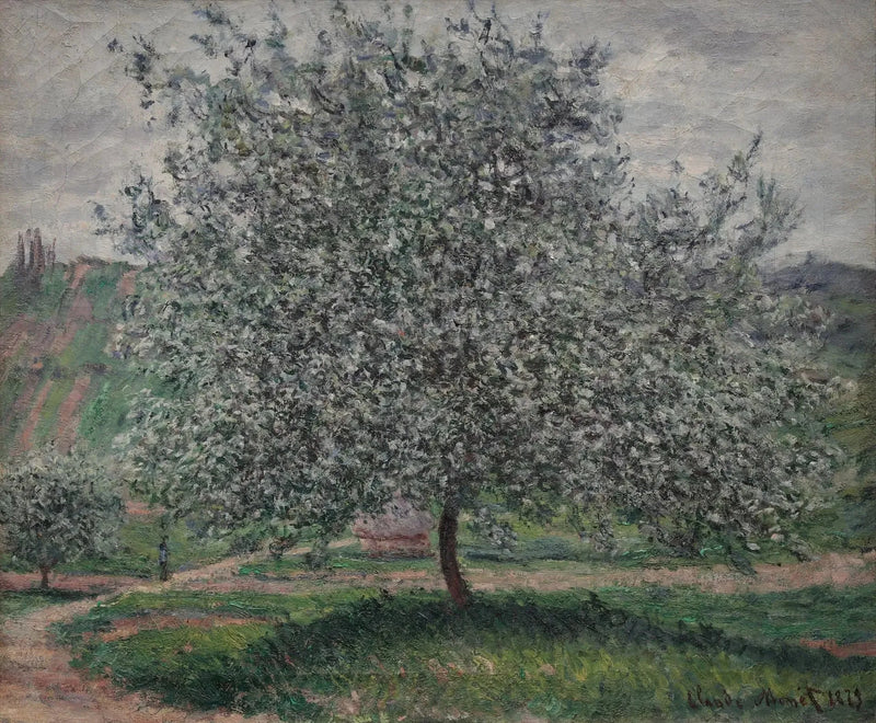 Titolo tradotto non disponibile - Claude Monet