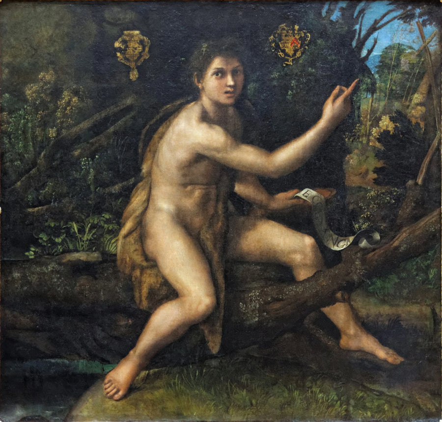 San Giovanni Battista nel deserto - Raffaello Sanzio