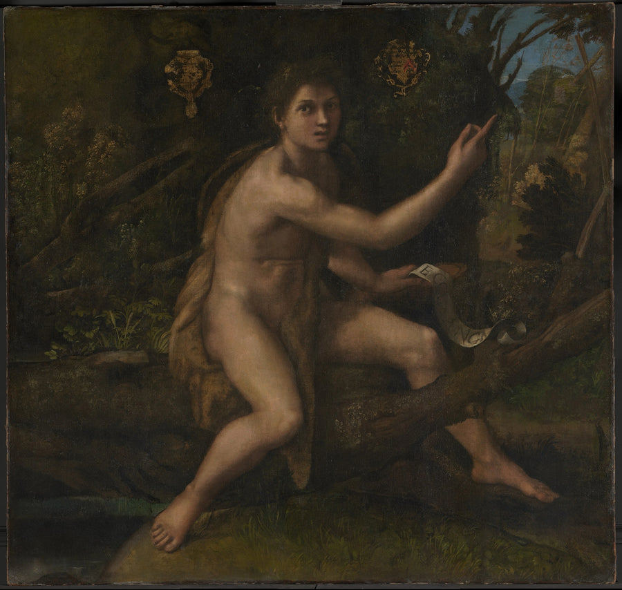 San Giovanni Battista nel deserto che indica la croce della Passione - Raffaello Sanzio