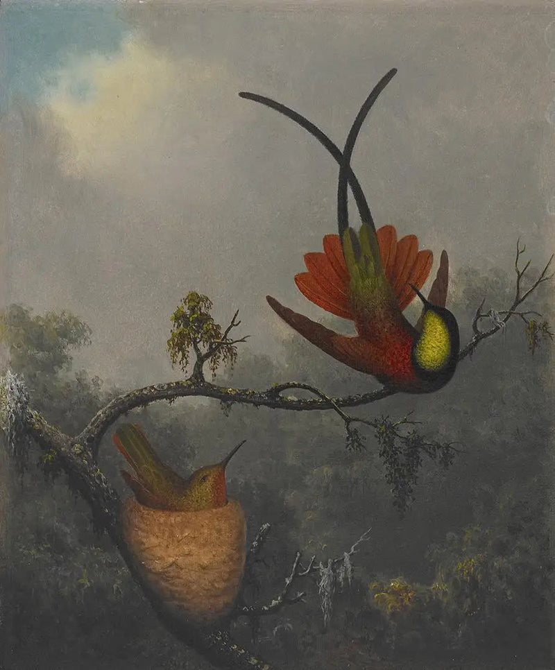 Topazio cremisi - Martin Johnson Heade