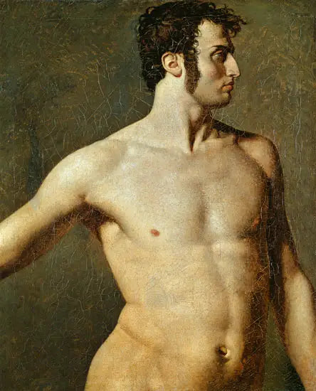 Torse d'homme - Jean-Auguste-Dominique Ingres image 1 tableau peint à l’huile sur toile
