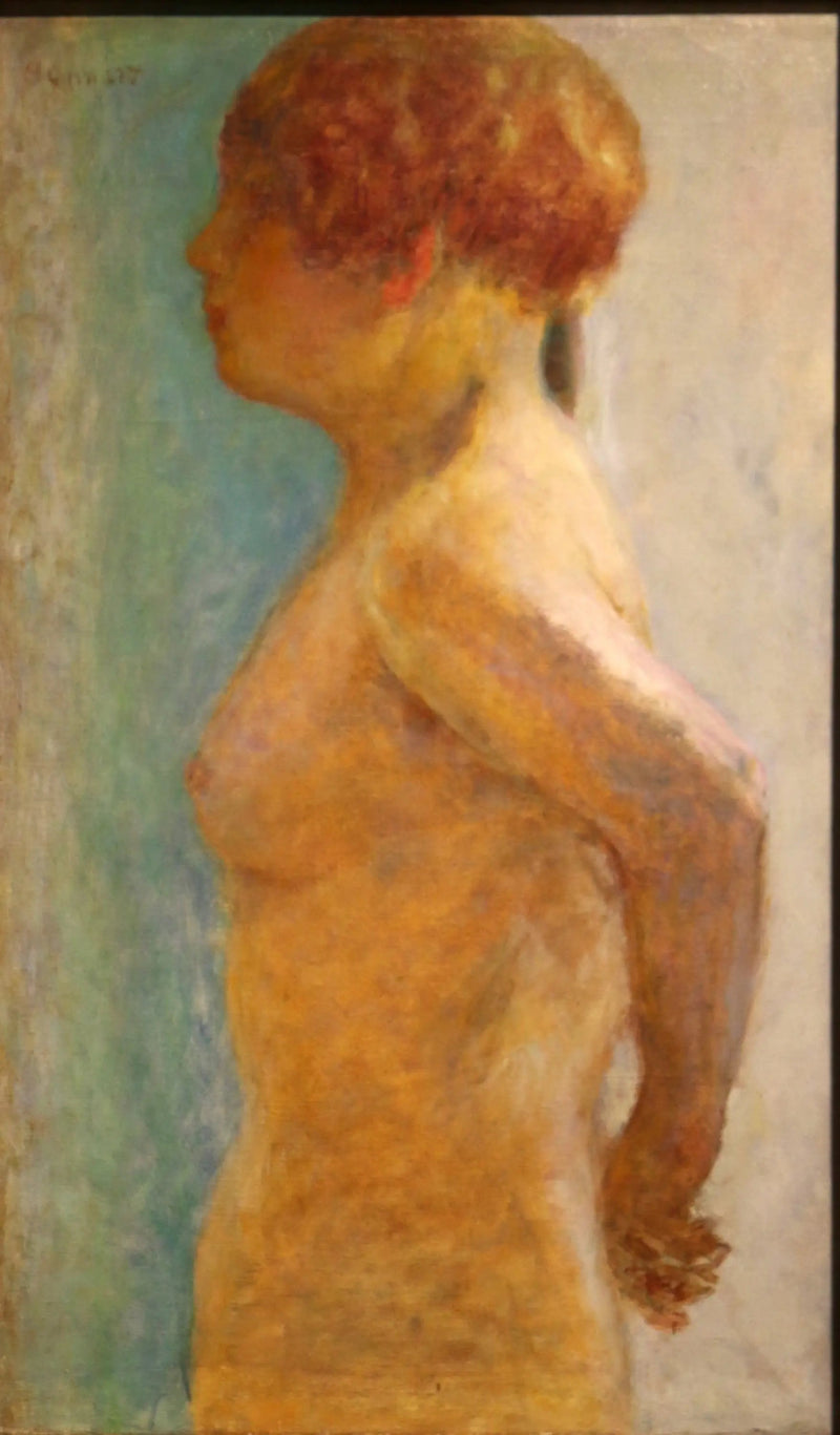 Torso di donna, di profilo - Pierre Bonnard