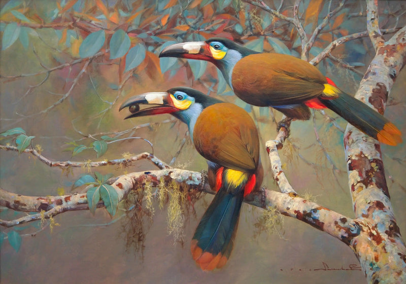 Tucano delle Montagne | Dimensioni: 60x90 cm