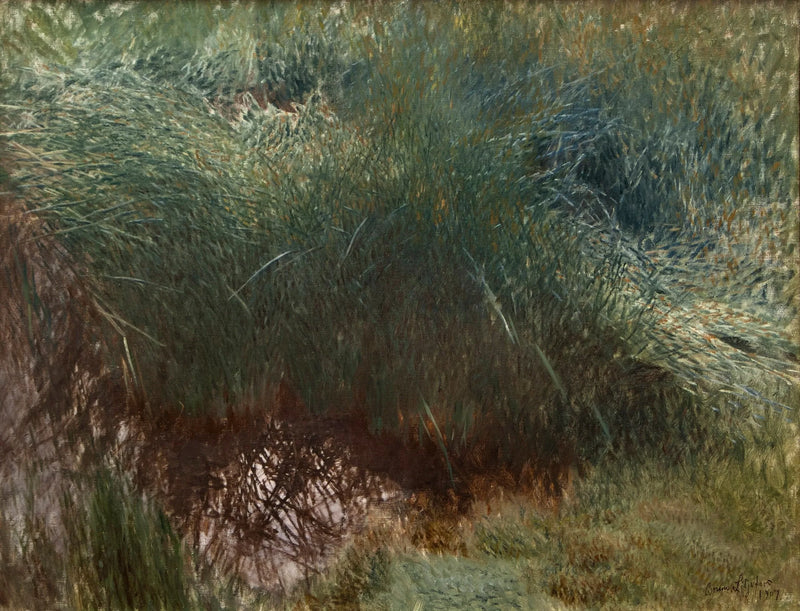 Ciuffo di canne - Bruno Liljefors
